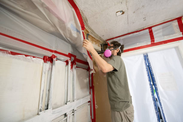 Environmental Consulting for Mold Prevention in Ellenton, FL